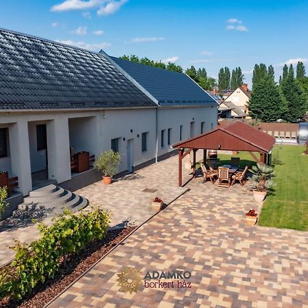 Bed and Breakfast Borkert Ház Villány Exterior foto